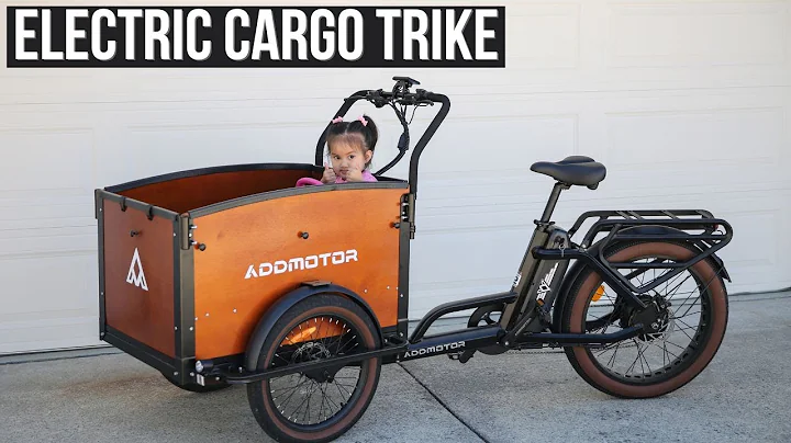 AddMotor E-325 Electric Cargo Trike